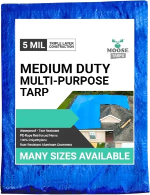20' x 25' Waterproof Tarp, Medium Duty Reversible Blue/Silver, Multipurpose Indoor and Outdoor Tarps for Tents, Wood Cover, Furniture, Car, Boat, Pool, Tear Resistant, Blue