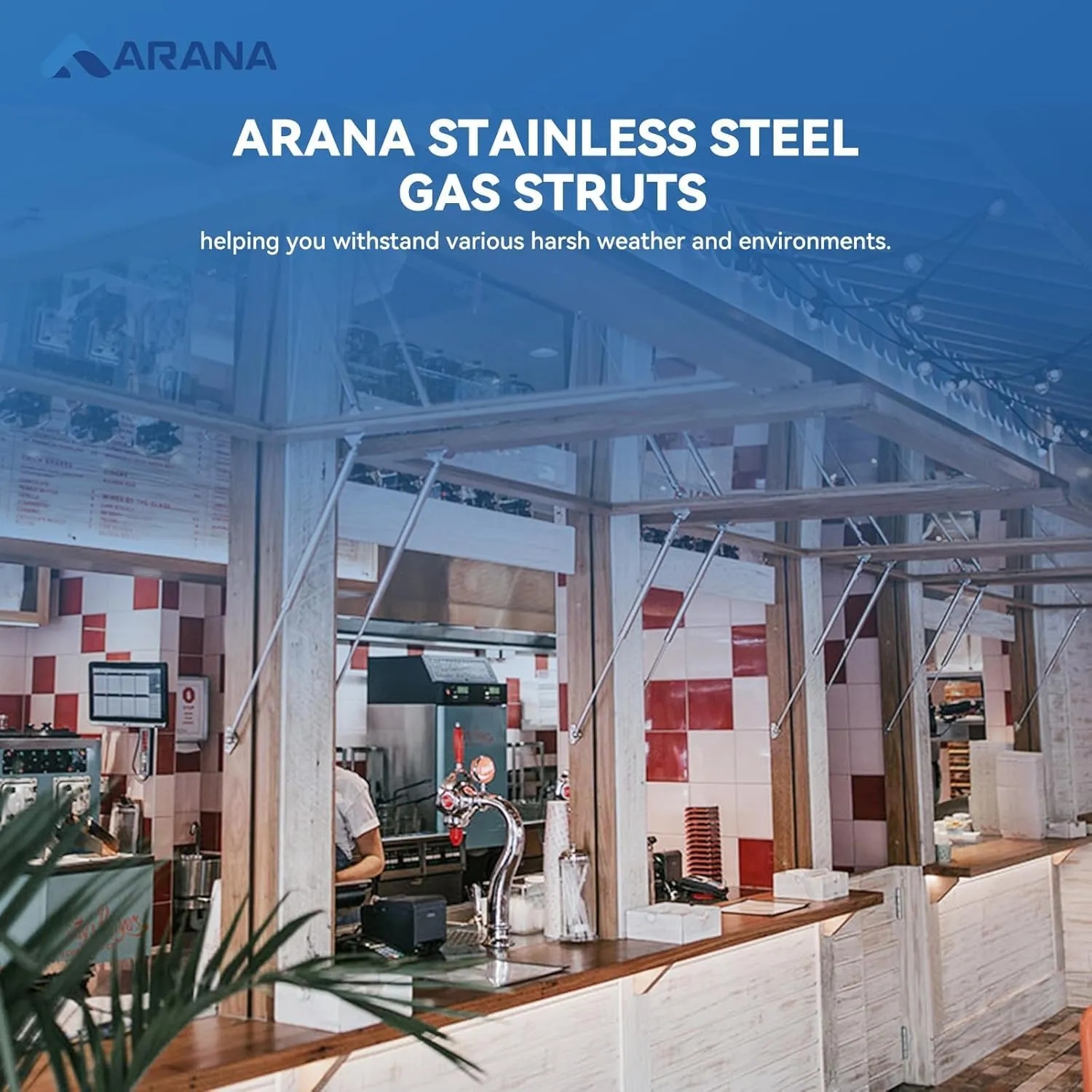 ARANA Stainless Gas Struts 15 inch 10lbs, Marine Gas Struts 15 inch 44N with Brackets, Hydraulic Lift Support Hinges for Light Duty Cabinet Door Lid Tool Storage Box(Fit 8-11lb Lid), 2 Pcs