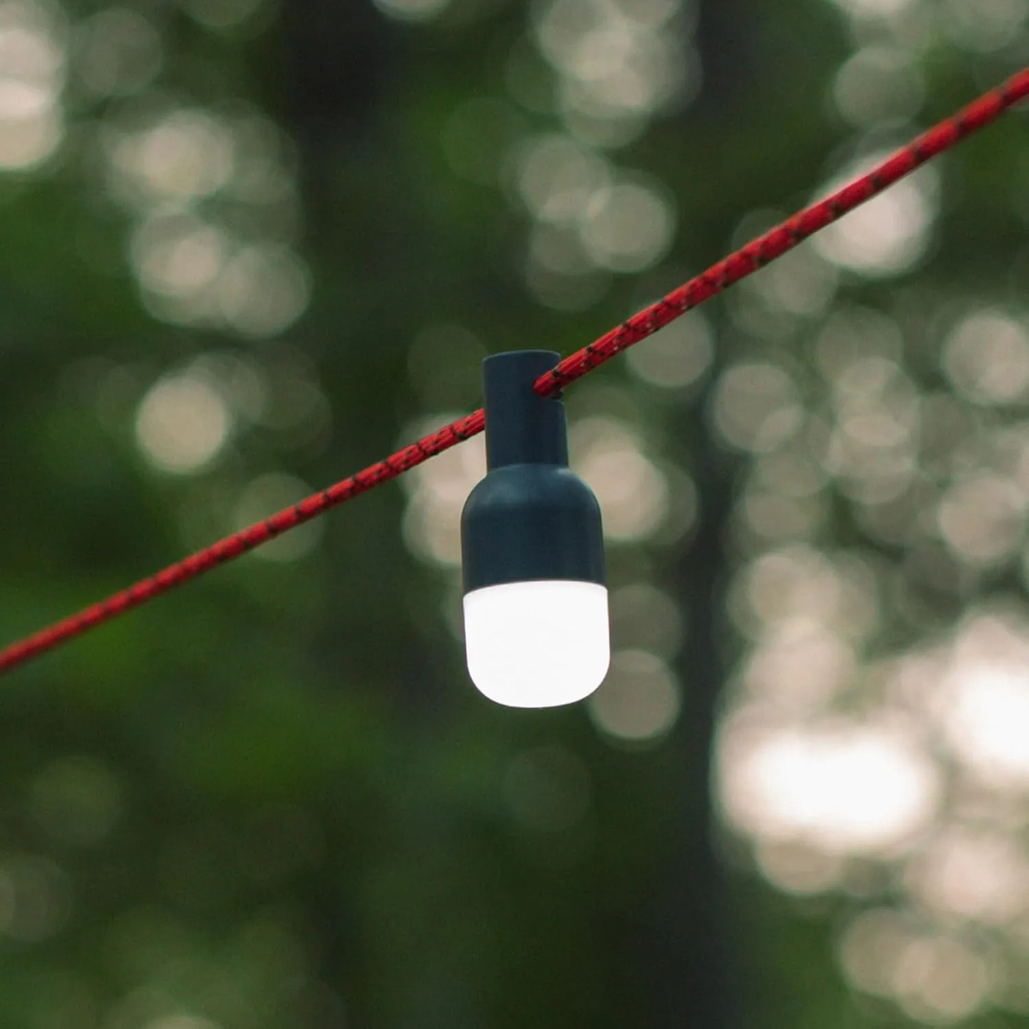 BioLite Luci Solar Site Lights: Stringless String Lights, Six Detachable Mini Camping Lights with Tent Stakes and Charging Case | Lights 1,000 sq ft | Rechargeable via Solar and USB | Lasts 20 Hours