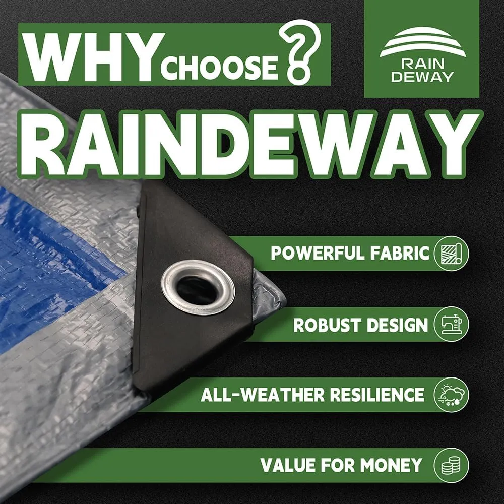 RAINDEWAY Large Tarps 30x50 Feet, 5.5 Mil - Multipurpose Waterproof Poly Tarp Cover with Metal Grommets and Reinforced Edges, Silver/Blue Tarp