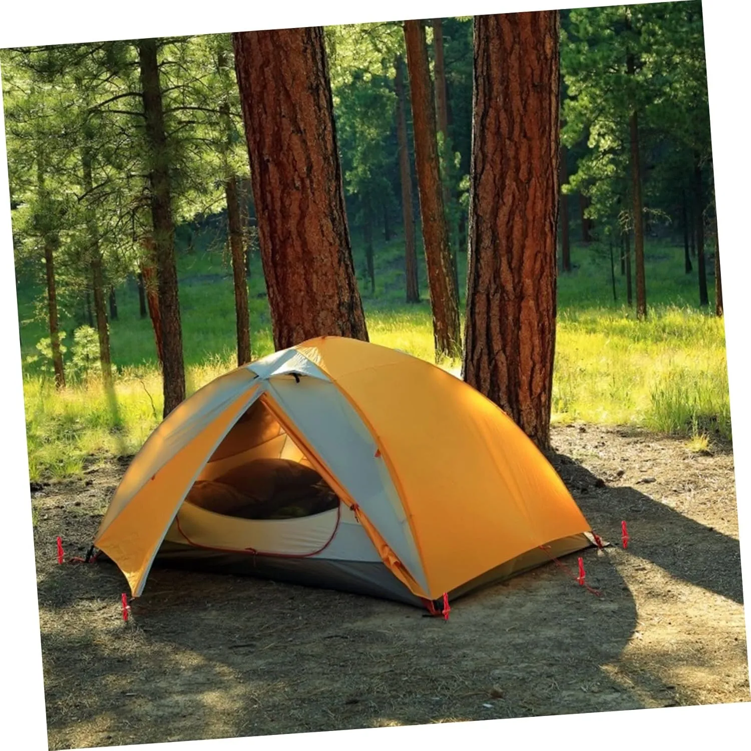 Tent Stakes 5pcs Tent Pegs Outdoor Stakes Heavy Duty Ground Peg Ultralight Tent Adjustable Metal Tent Ground Stakes Peg Tent Stakes Pegs Camping Tents Tent Pin Nail Aluminum Alloy(Red)