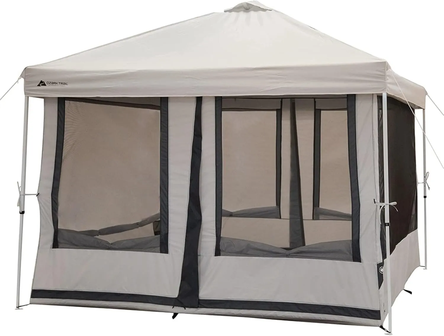 Unknown Brand Ultralight 4 Season Camping & Hiking Tent with Footprint, Waterproof Coating, Fiberglass Poles, Zipper Closure, 1-2 Person, Contemporary Style